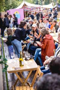 20240616-164511-Bacchus-D6-3K3A6261