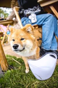 20240616-165748-Bacchus-D6-3K3A6281