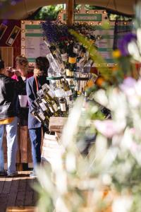 20240616-194736-Bacchus-D6-3K3A6843