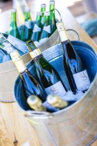 20240607-170121-Bacchus-D1-2K3A0830