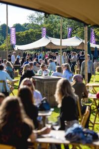 20240607-182019-Bacchus-D1-2K3A1173