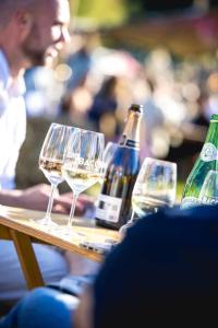 20240607-191504-Bacchus-D1-2K3A1526