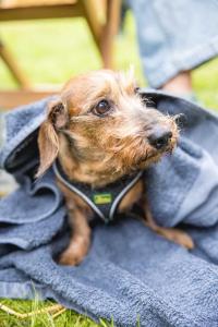 20240608-172942-Bacchus-D2-2K3A2867