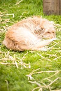 20240608-174108-Bacchus-D2-3K3A0288