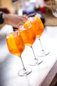 20240608-175048-Bacchus-D2-3K3A0336