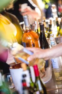 20240608-193726-Bacchus-D2-3K3A0688