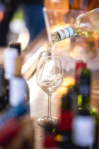 20240608-194443-Bacchus-D2-3K3A0772